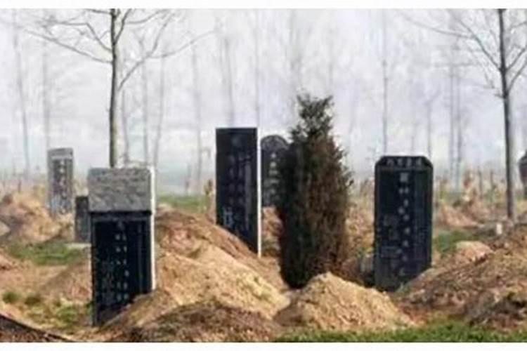 没有爱情的婚姻是什么样的