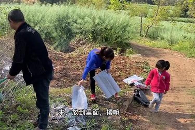 2025属龙犯太岁吗