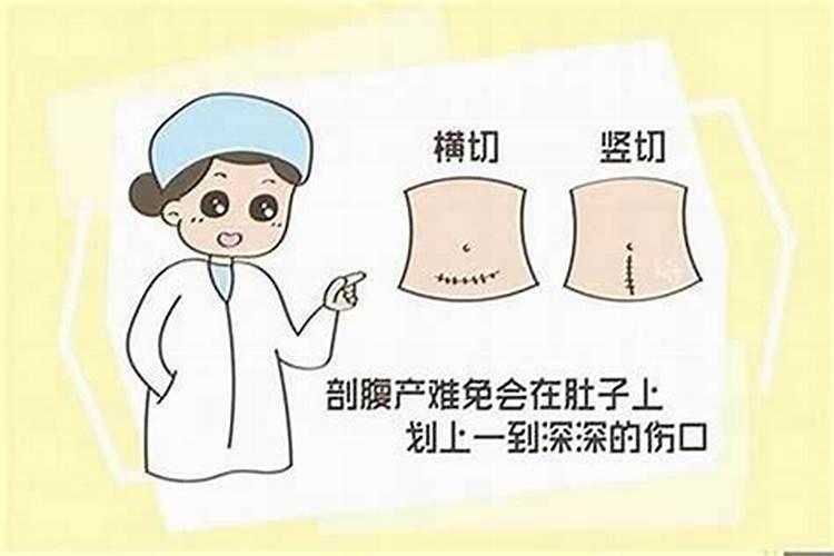 农历初二出生富贵命 正月初二出生多财帛
