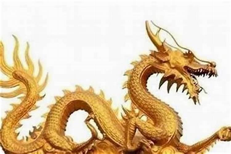 男属虎女属龙婚配合适吗
