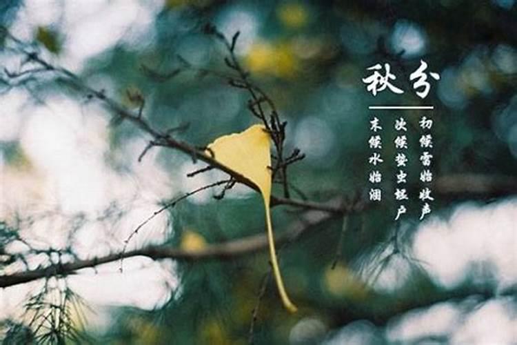 我是1985年农历十月初六出生今年的财运怎么样
