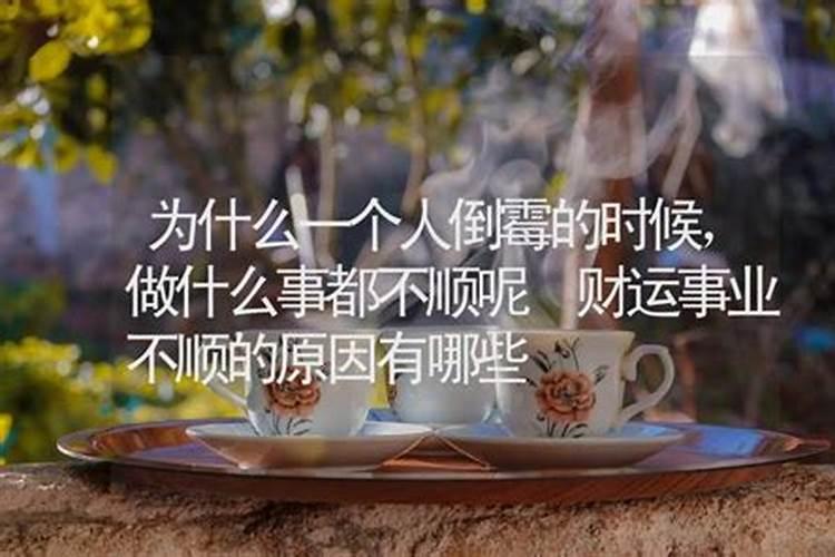 梦到巨蟒是什么意思
