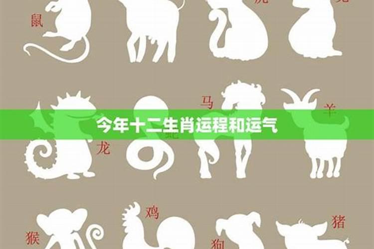 立冬什么生肖转运最旺呢