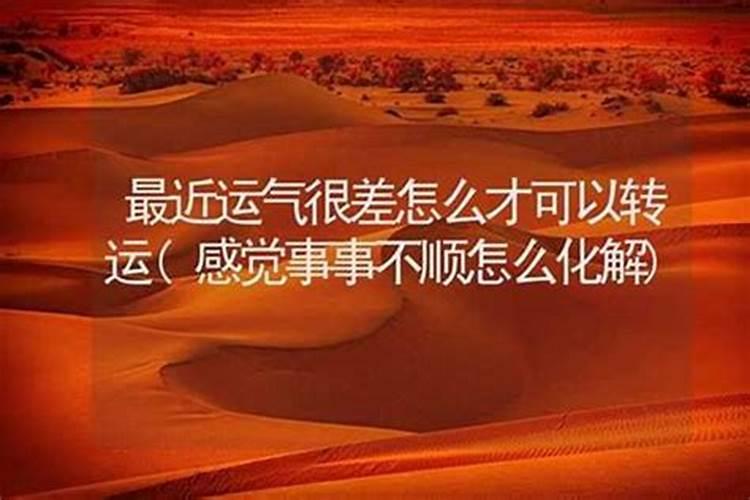 梦见被老虎狮子追赶的预兆