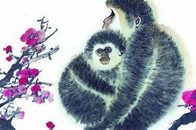猴年出生的人2024年运势及每月运程