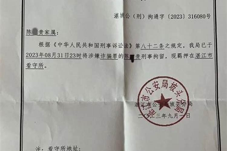 2025年九九天时间表