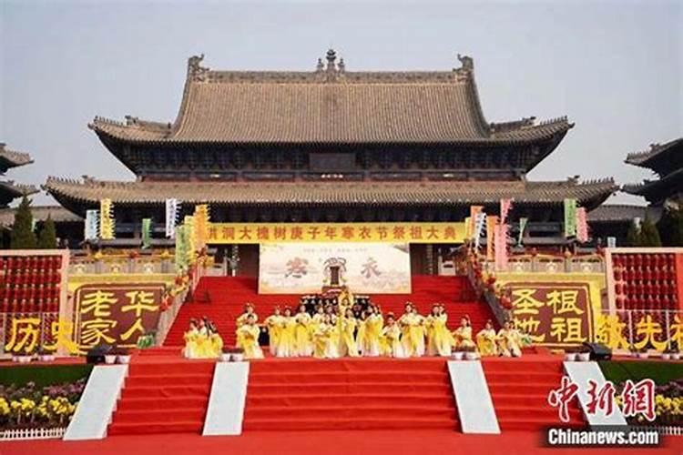 猪年下一年是什么年？