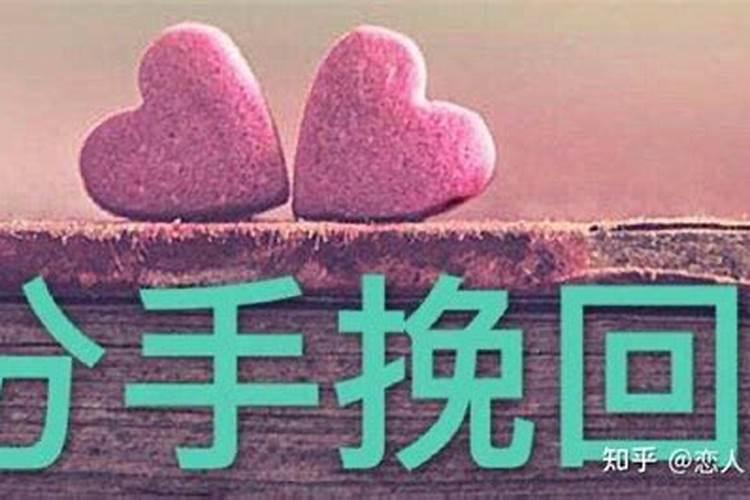 带流浪猫回家不吉利吗