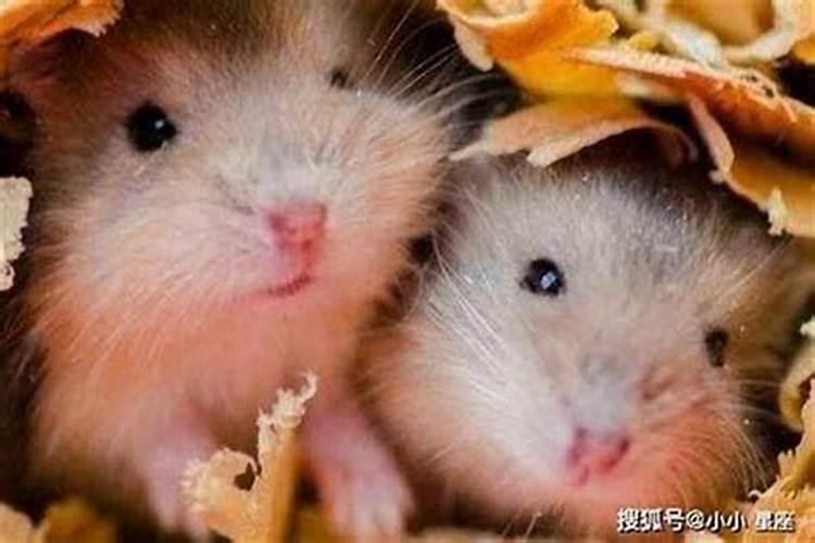 堕胎的因果报应是怎样的