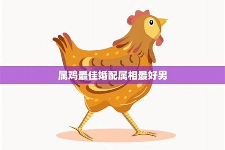 属鸡的男性和什么属相的女性最配