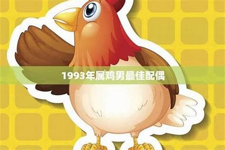 男属鸡找什么属相最好,男属鸡的和什么属相最配？