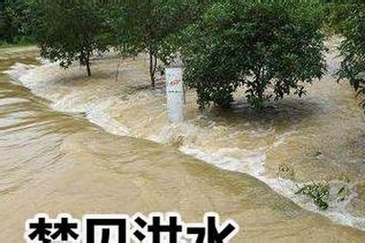 梦见和喜欢自己的男人拥抱的预兆