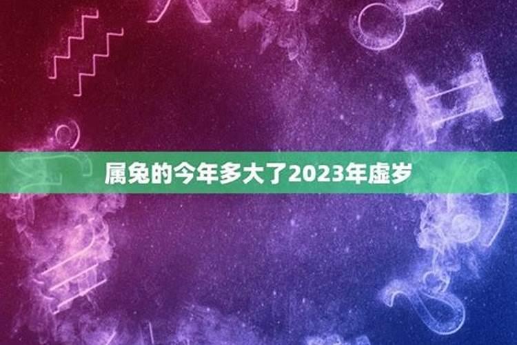 生肖兔1987年出生2025几岁了