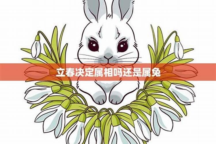 癸卯兔年有两个立春