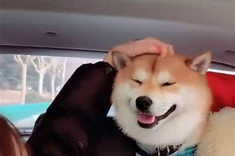 梦见掉牙没出血也不疼