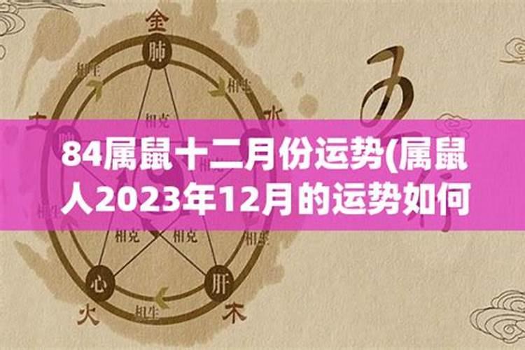 属鼠2024年12月21日运势