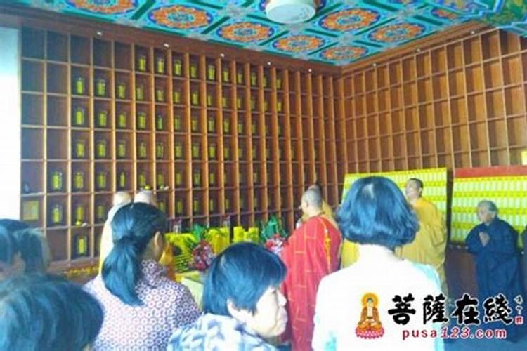 梦到家里有蛇 梦见家里有蛇啥寓意