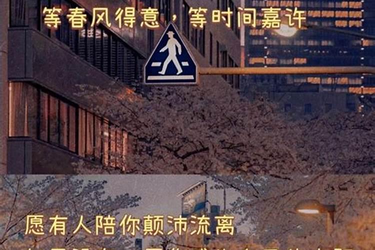 土字生肖有哪些