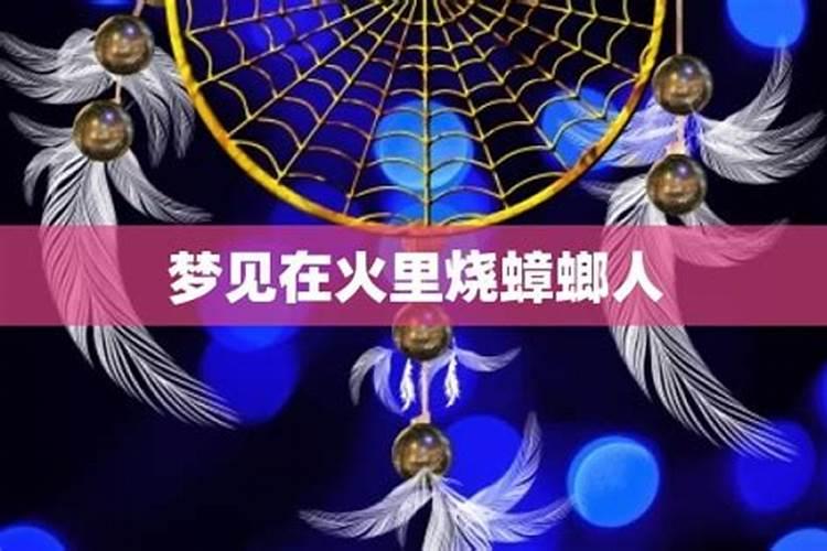 水产养殖如何肥水