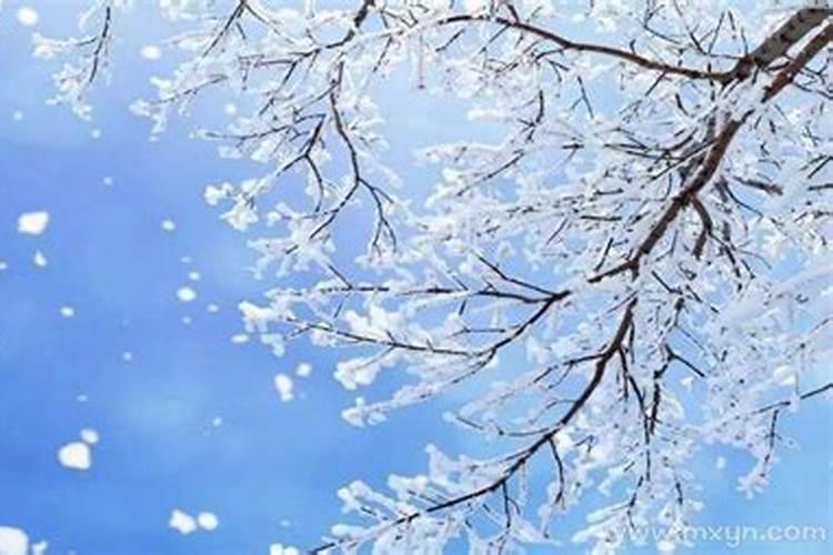 梦见铲雪预示着什么