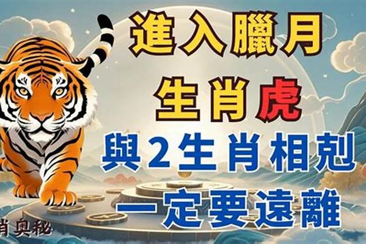 2025年冬月蛇宝宝和腊月蛇宝宝哪个运势更好