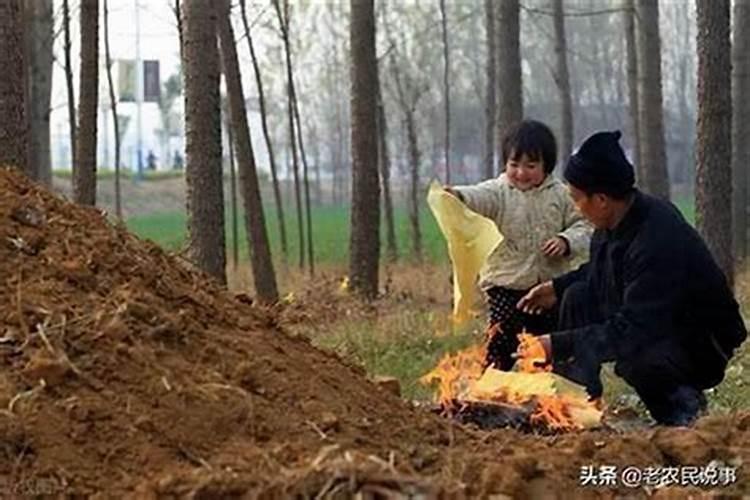 坟头上的树可以锯掉吗 清明节坟头上的杂草可以拔吗