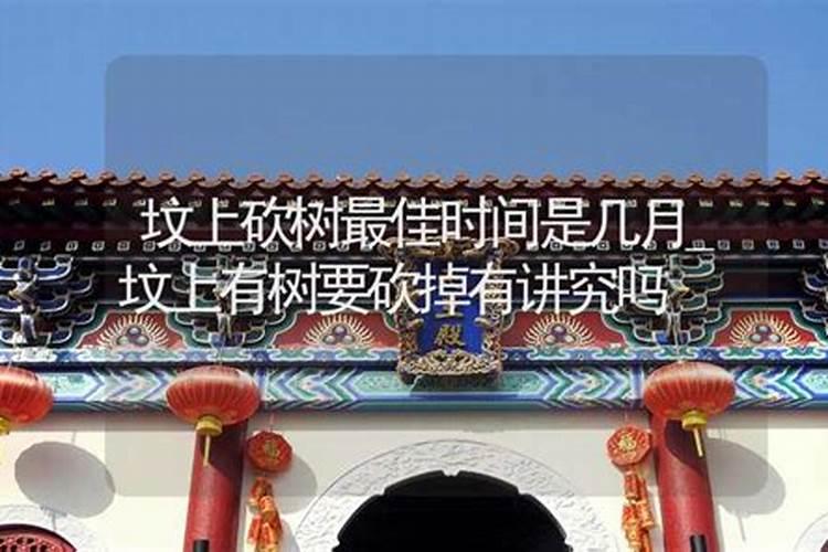 清明节当天可以砍坟墓上的树吗？