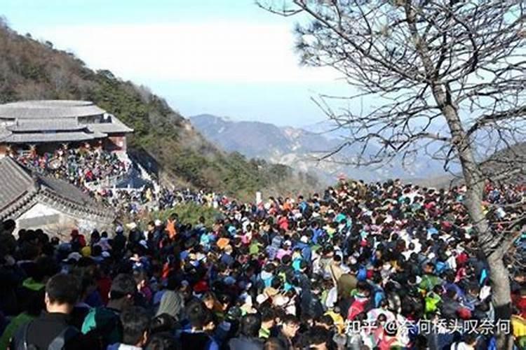 山东清明节吃什么