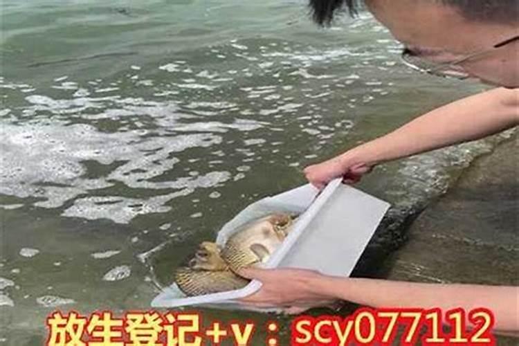 梦到煤块是什么意思