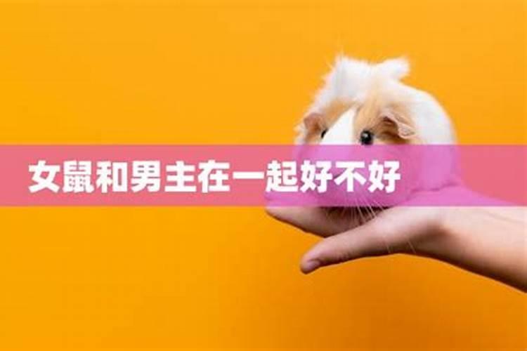 1996年男鼠八字姻缘,1972年属鼠的婚姻感情