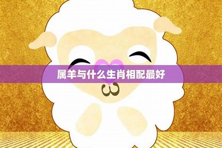 俩人都属羊结婚好吗,家里有两个属羊的好不好