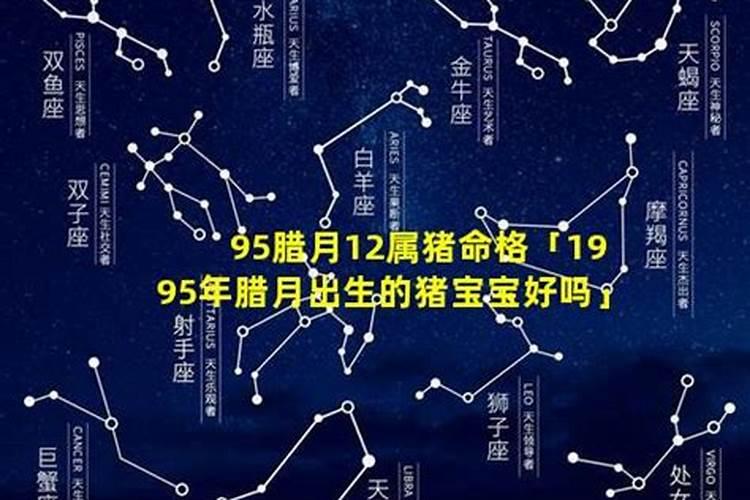 属猴的人怎么改变财运