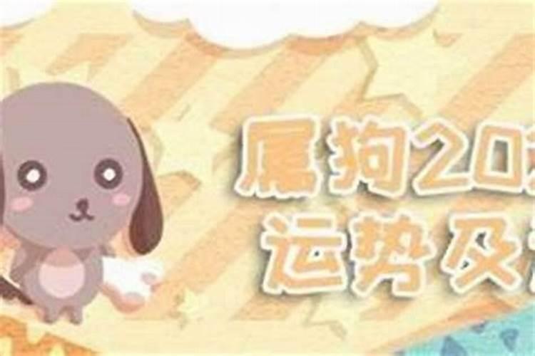 阿拉伯4个老婆晚上睡一起吗