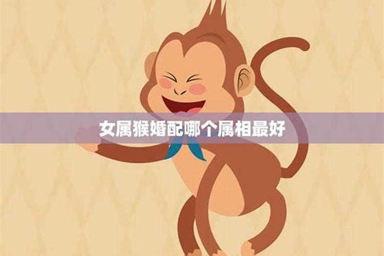 属猴女人什么属相最旺