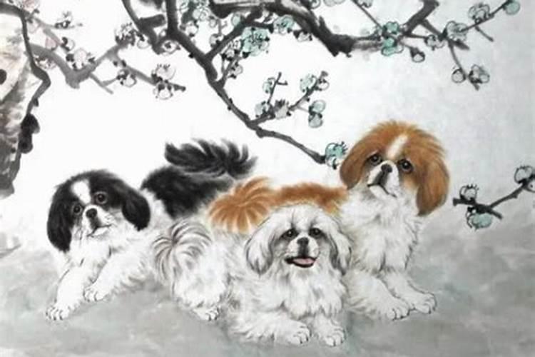 河南的冬至有什么习俗吗？