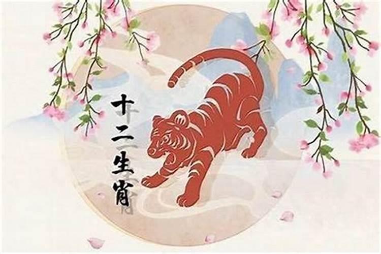 属虎的几月出生最好