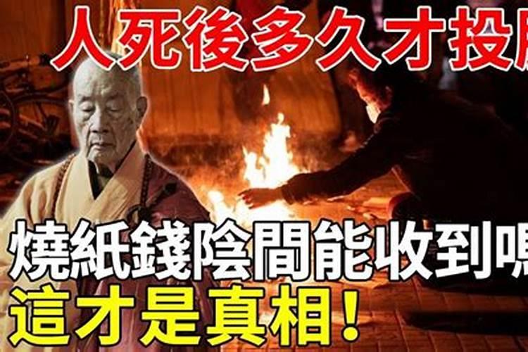 24年属羊的总体运程每月运程详解