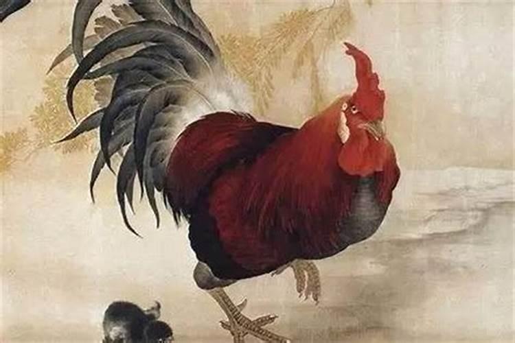 为什么别的生肖在本命年的时候都会犯大岁只有龙年不会只有龙年不悔