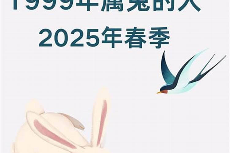 属马人2025年全年运势运程
