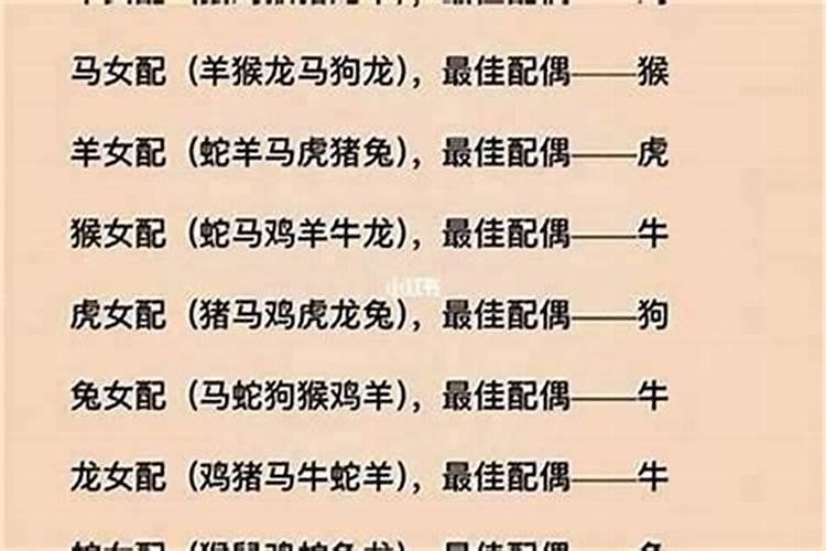 属鼠女和属蛇男的婚姻相配吗