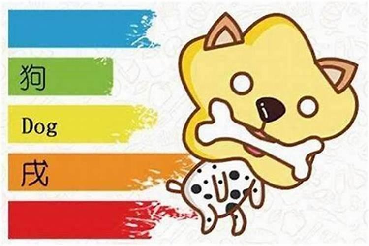 属什么人最好养猫？