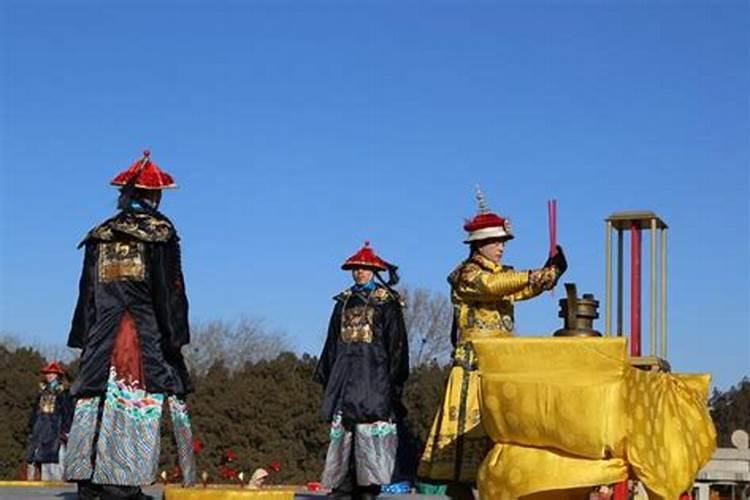 属狗人2025年全年运势运程免费 属狗2025年每月运势及运程详解