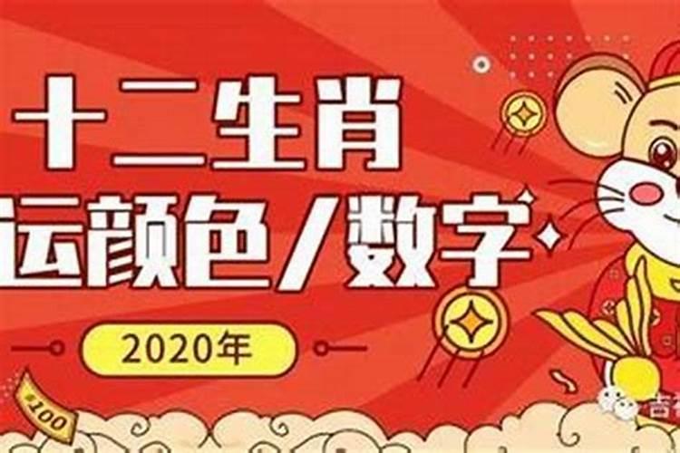 87年属兔女2024年感情与婚姻