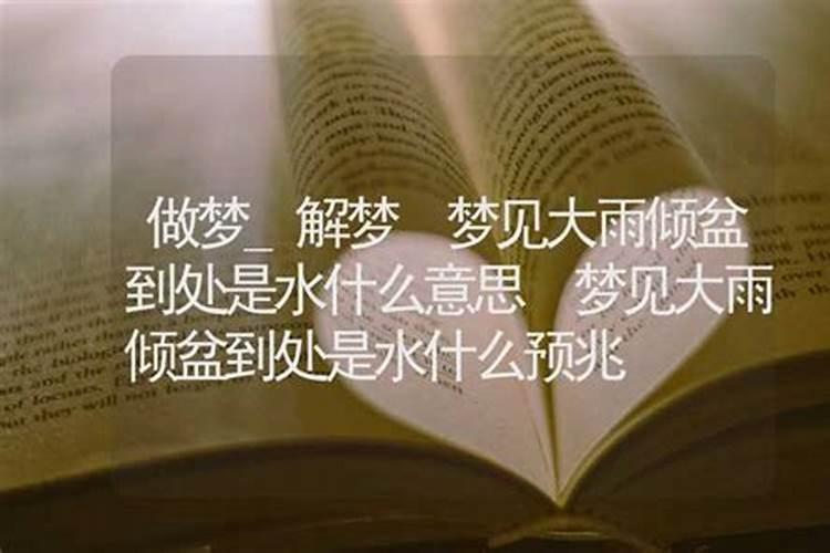 梦见大水坑是什么意思？