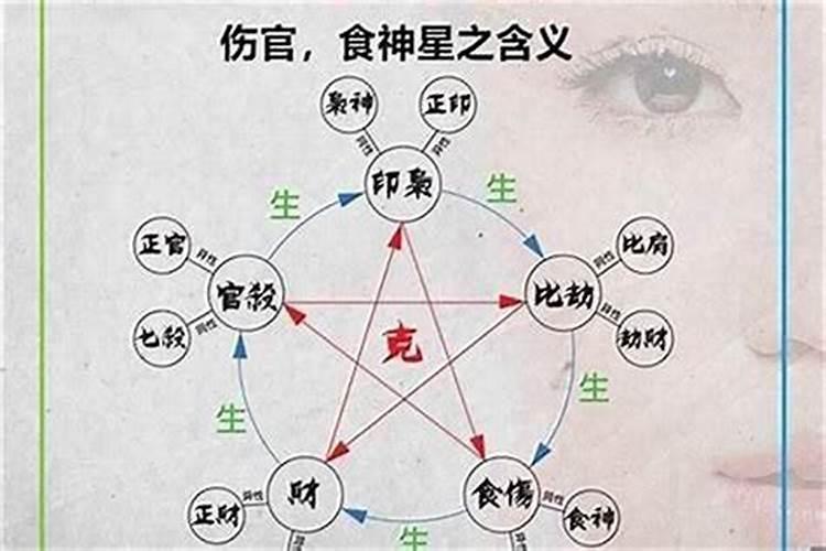 1978年属马人在2025年的运势