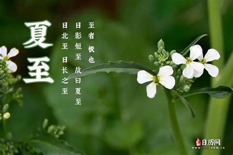 合肥滨湖哪些是回迁房