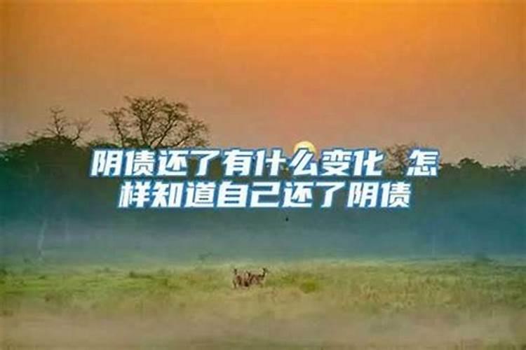 桃花一朵姻缘两颗是什么意思,如何招桃花运旺姻缘