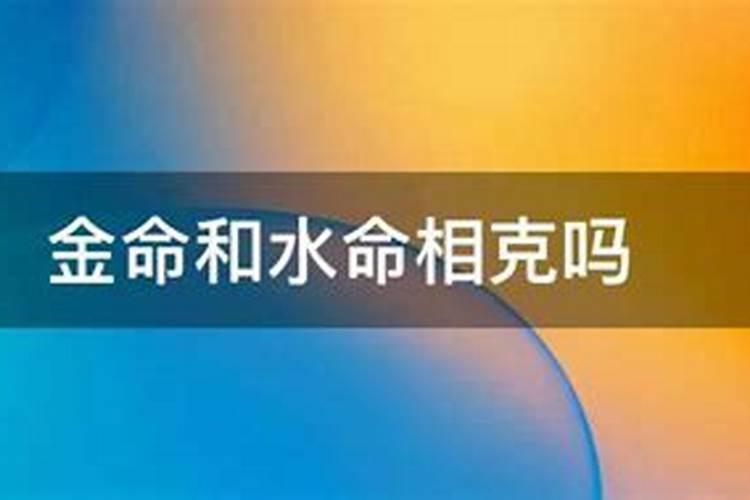 舟山人谢年怎么放东西