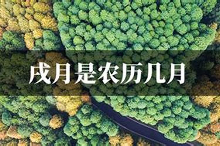2025年属鸡犯太岁吗
