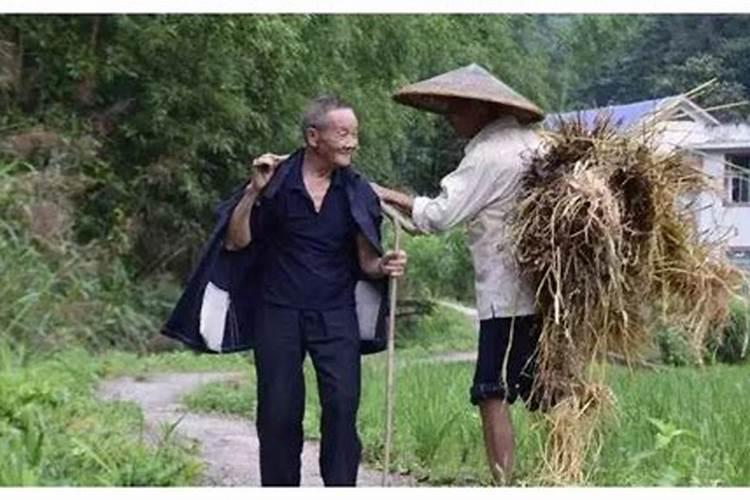 2027羊年犯太岁蕞凶的四大生肖